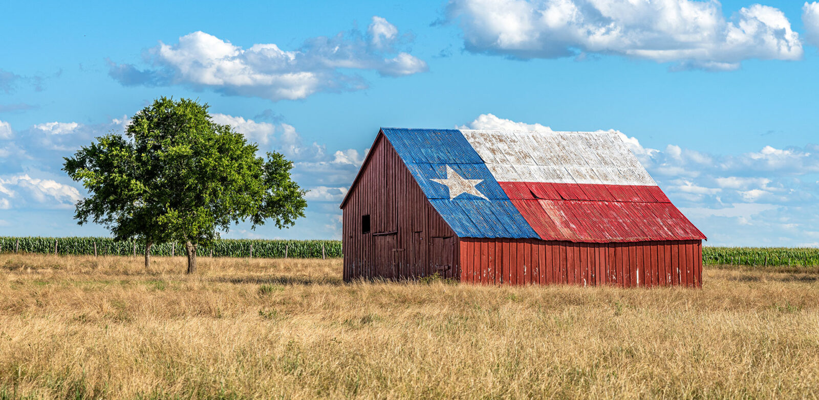 American barn in a field